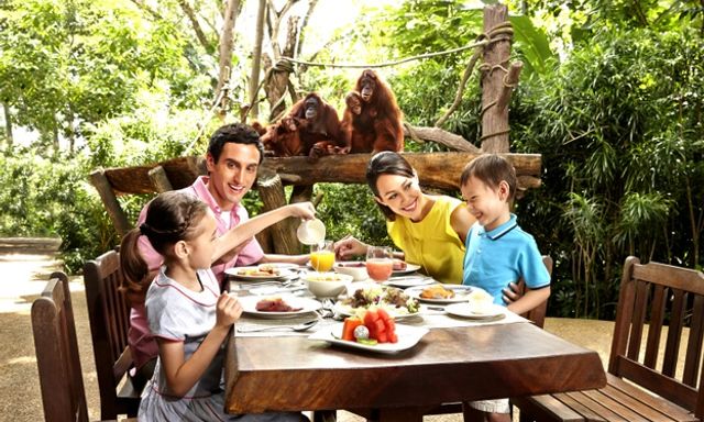 Kỳ quan của Vườn thú Singapore: Tour có hướng dẫn viên kèm bữa sáng tùy chọn